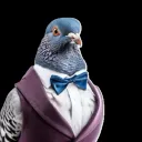 wizardpigeon152
