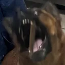 potatomcspudface