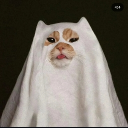 avatar Miss Invisible