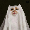 avatar Miss Invisible