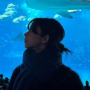 avatar dinosaur nugget