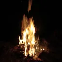 friedpotatoooooooooooooooochips