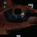 duartednc