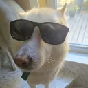 maladocub