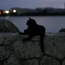 lilimpfh
