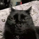 avatar ⚒Inkiestinkie⚒