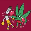 steez028