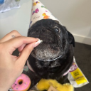 avatar torkiewalkemdown