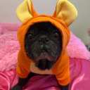 avatar torkiewalkemdown