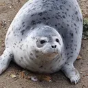 tonylxm