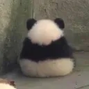 kaijiaothretimr