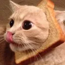 toast.eii