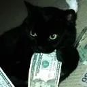 bodp