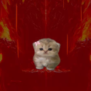 avatar Mia the salvatore 🦫💨