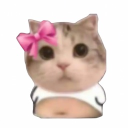 avatar Mia the salvatore 🦫💨