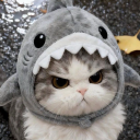 avatar alessa ִ ٠࣪⭑