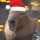 jvcapybara