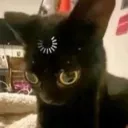 slmn98