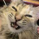 Discord Avatar