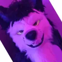 tushky