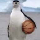 .cybirb