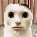 avatar 𝔹𝕣𝕠𝕜𝕖𝕟𝕥𝕒𝕡𝕖