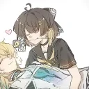d.v.l