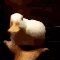 epic29
