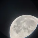 r1skdev