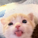 avatar Nữ Phụ Độc Ác