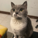Discord Avatar