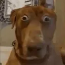 niconmc