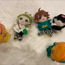 shinocco