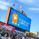 kota_san