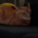 avatar doomfr  ‹𝟹