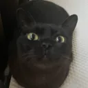 Аватар igorjosha