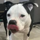 theonlychrisp