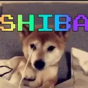 shiba0990