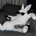catr0ck
