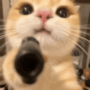 avatar 𝕶𝖊𝖗𝖗𝖆𝕺𝖈𝖊𝖆𝖓