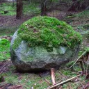 rock_7100