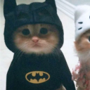 avatar 𝕺𝖘𝖈𝖆𝖗𝖎𝖙𝖙𝖔