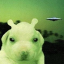 avatar zlorp b