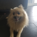 babycakes9985#9043's avatar