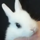 oswaldlegenda