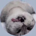jason_zzz avatar