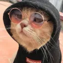sebastiands7648 avatar