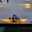thenotethan