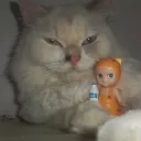 Sena ࣪ ִֶָ☾.