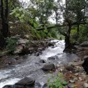 nathan_2413